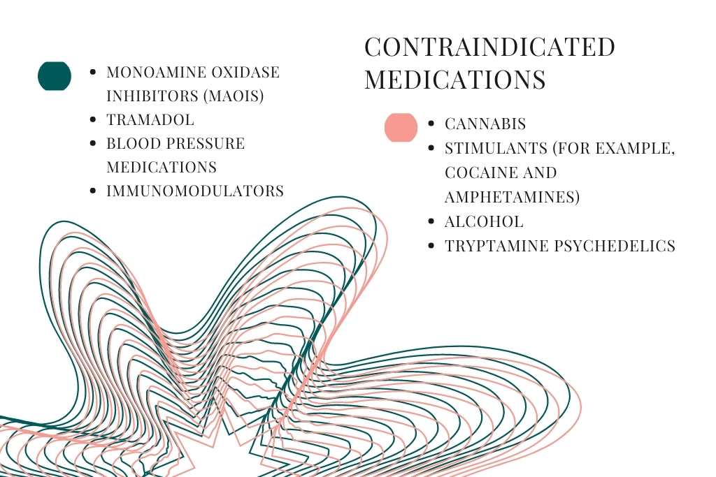 contraindications for mescaline