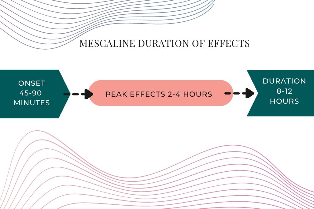 mescaline duration of effects