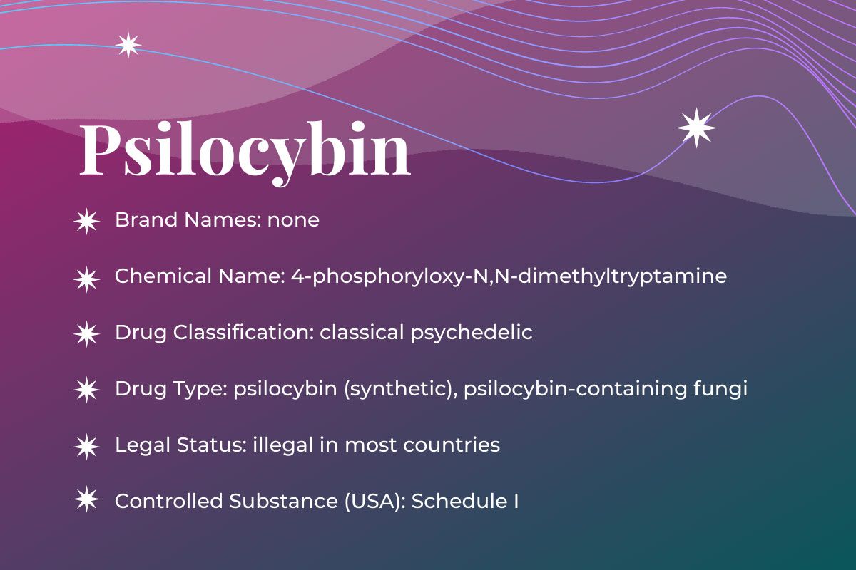 Featured Image: Psilocybin-Assisted Therapy Guide