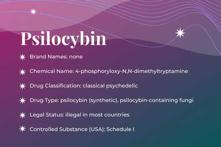 Featured Image: Psilocybin-Assisted Therapy Guide