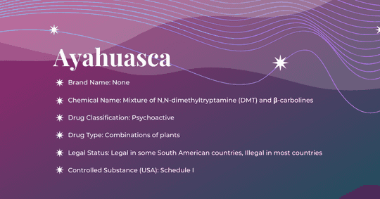 Featured Image: Ayahuasca Substance Guide