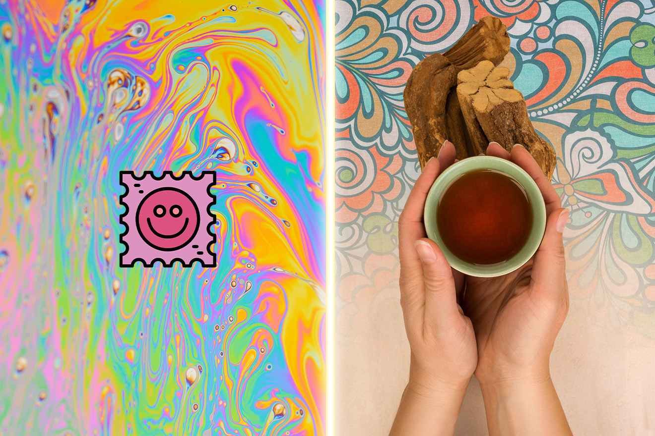 LSD vs Ayahuasca