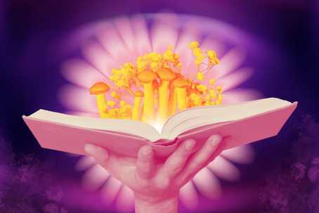 Psychedelic culture. The image features a vibrant and surreal composition with a hand holding an open book from which golden-yellow mushrooms and delicate yellow flowers emerge, glowing as if illuminated from within. The background consists of soft purples and pinks, forming a dreamy, radiating floral-like pattern, adding depth and focus to the central elements. The overall atmosphere is mystical and imaginative, blending natural elements with a sense of wonder and knowledge.