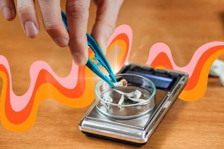 Psilocybin Microdosing. A small scale on a wooden tabl, with a person's hand from the top of the frame placing a small amount of psilocybin mushrooms on the scale with a tweezer-like tool. Behind this along the tablle are some wavy psychedelic linkes in shales of salmon pink.