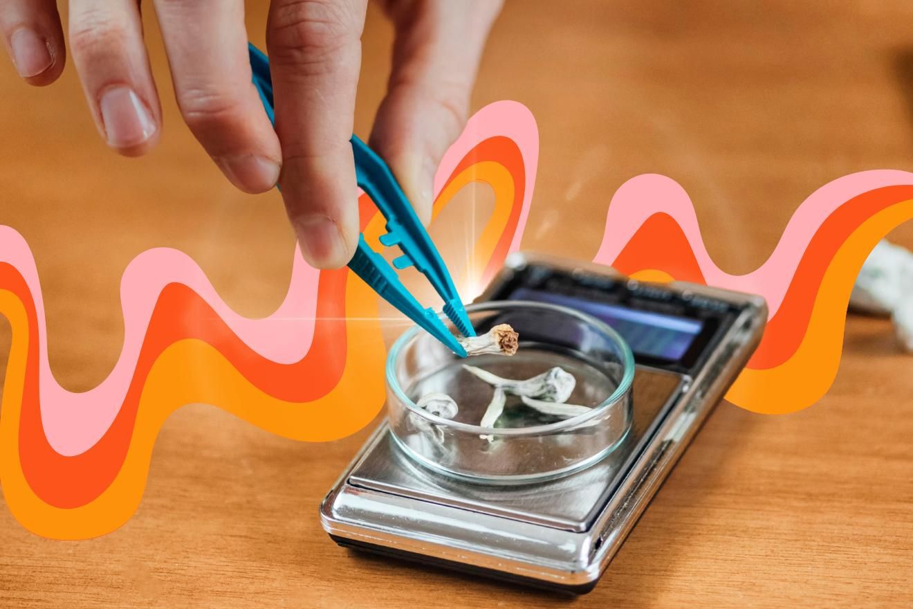 Psilocybin Microdosing. A small scale on a wooden tabl, with a person's hand from the top of the frame placing a small amount of psilocybin mushrooms on the scale with a tweezer-like tool. Behind this along the tablle are some wavy psychedelic linkes in shales of salmon pink.