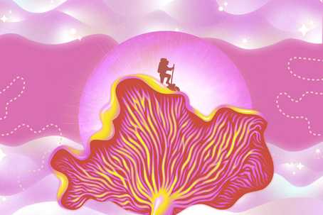 journey with psychedelic therapy