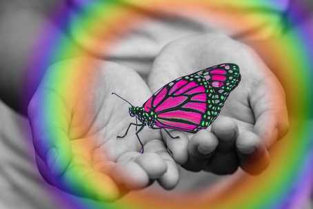 Healing the Inner Child with Ayahuasca. A greyscale photo of someone's hands next to each other, open in a receiving gesture, with a bright pink butterly perched on them. There is a soft circular rainbow around the butterly.