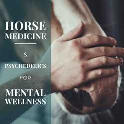 Featured Image: Harnessing the Healing Power of Horses and Psychedelics