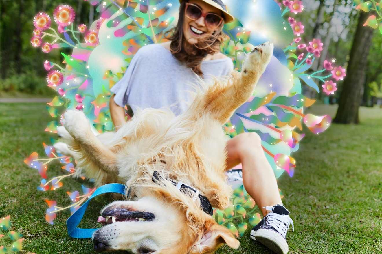 Psychedelics and Animals. A photo of a person siting on the grass in with a golden labrador lying upside down in front of them. There are dreamy colorful flowers behind the person.