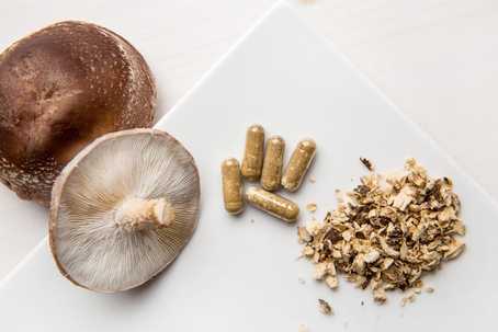 Medicinal mushrooms and psilocybin have many health benefits